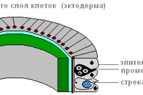 Как зайти на кракен kr2web in