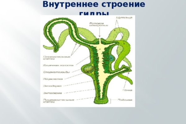 Не пришли деньги на кракен