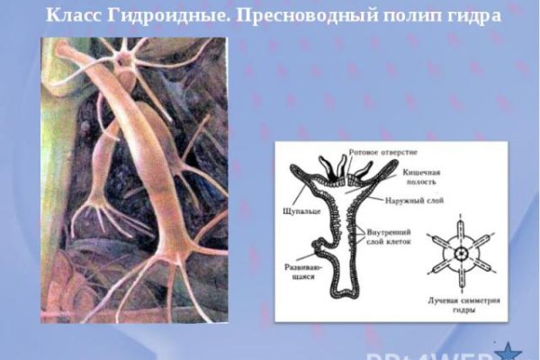 Сайты по продаже наркотиков