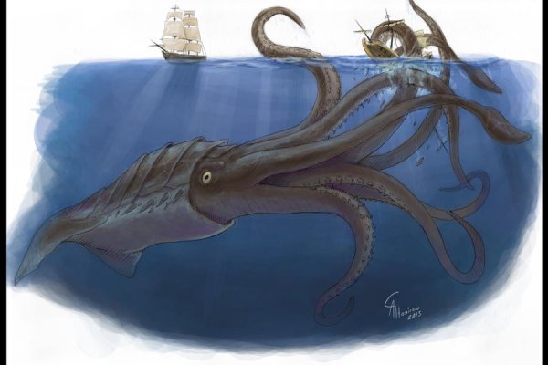 Kraken 12 att